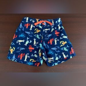 Tommy Bahama Swim Trunks Baby Boy Size 12 months